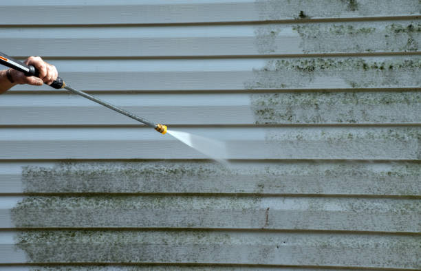 Best Roof Washing  in Clinton, WI